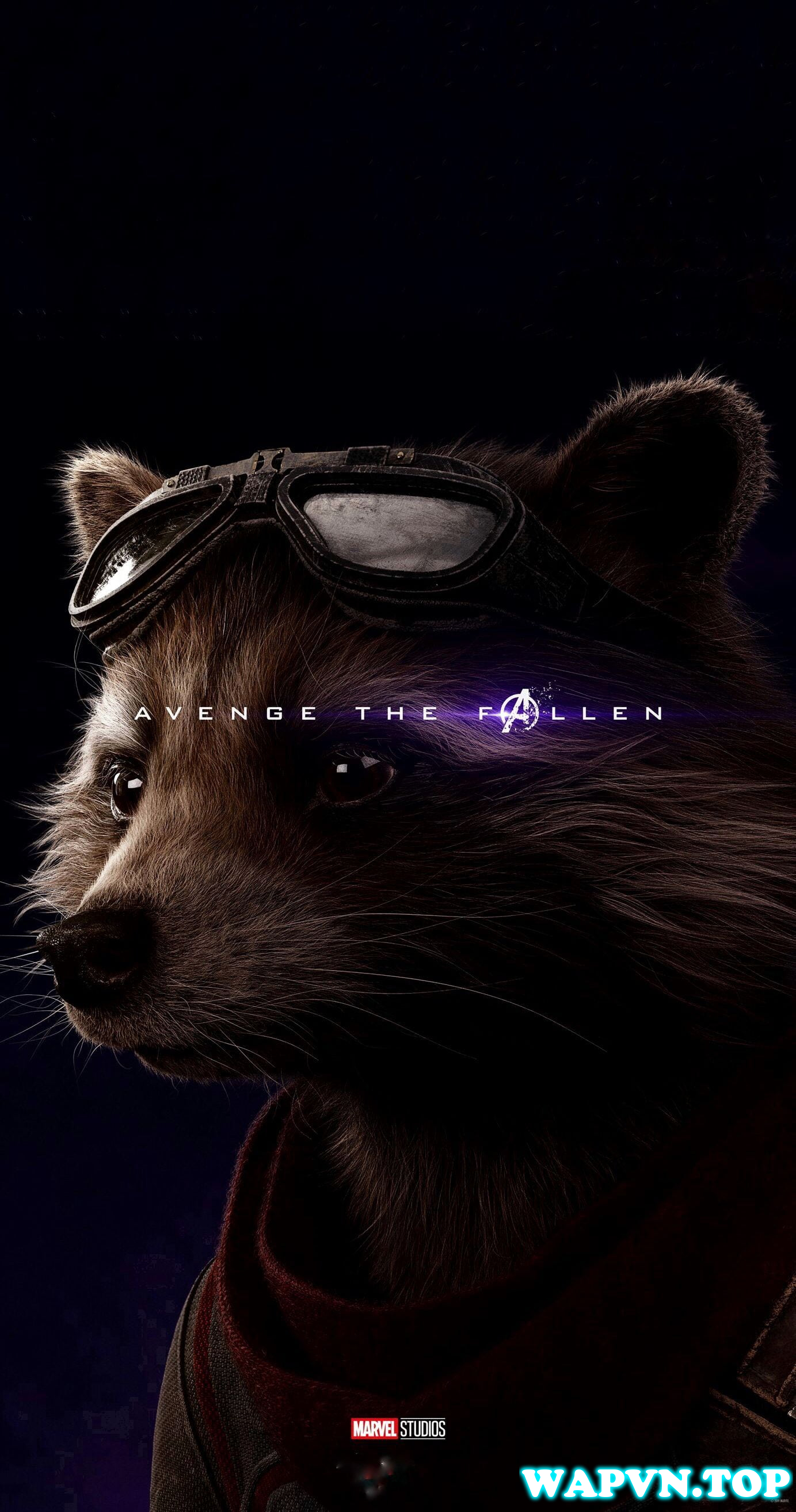 Rocket-Raccoon-4.jpg