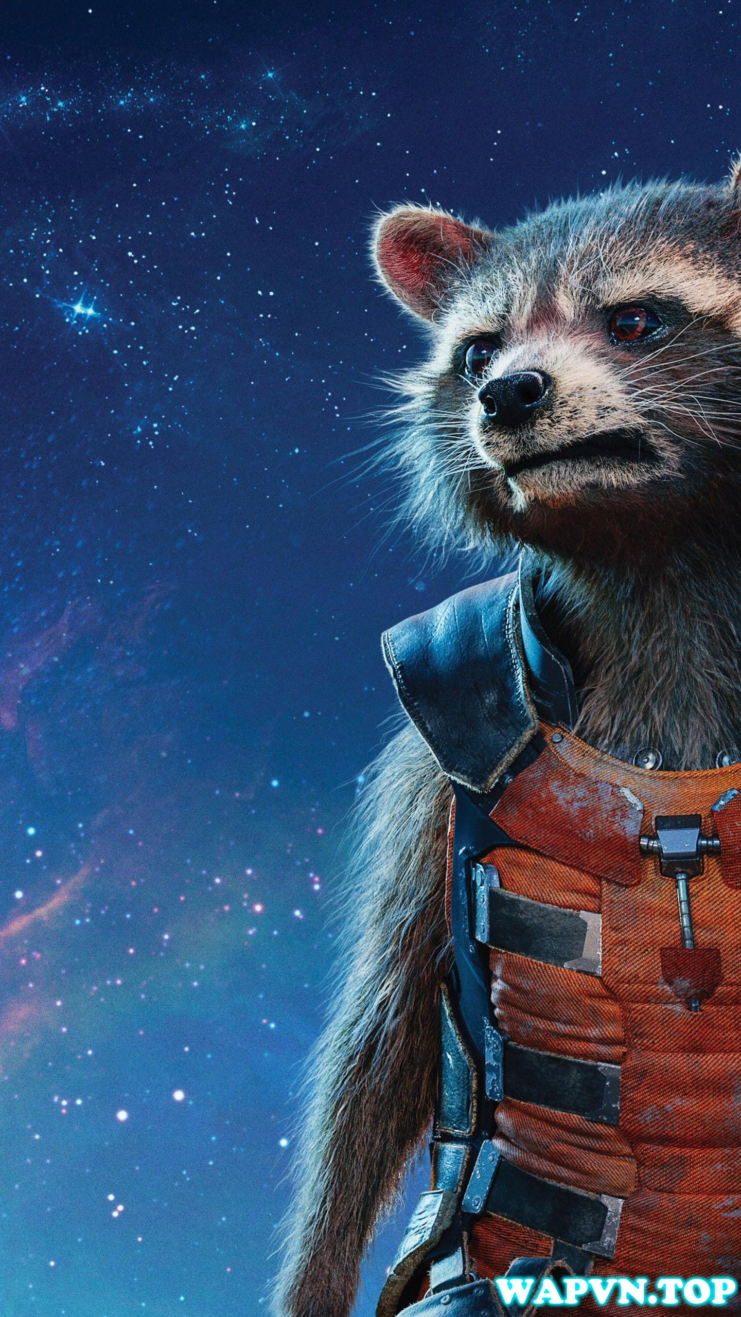 Rocket-Raccoon-2.jpg